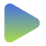 ikona